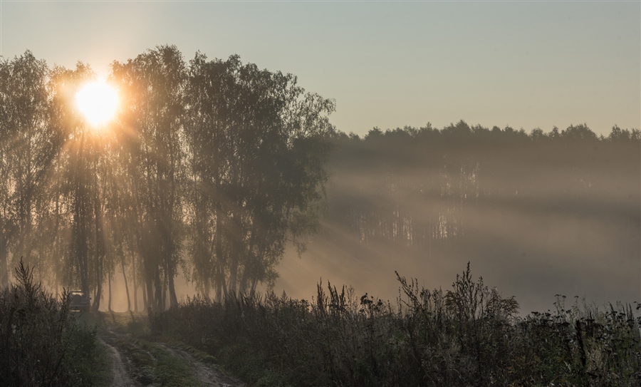 Фото жизнь