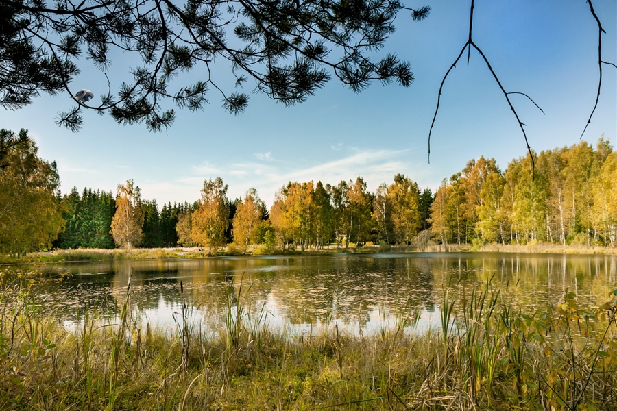 Фото жизнь