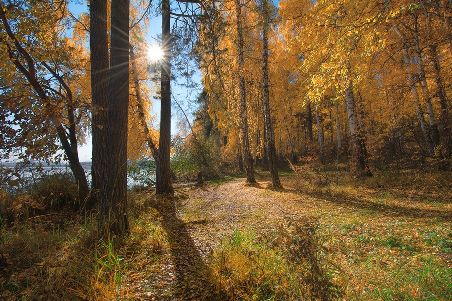 Фото жизнь