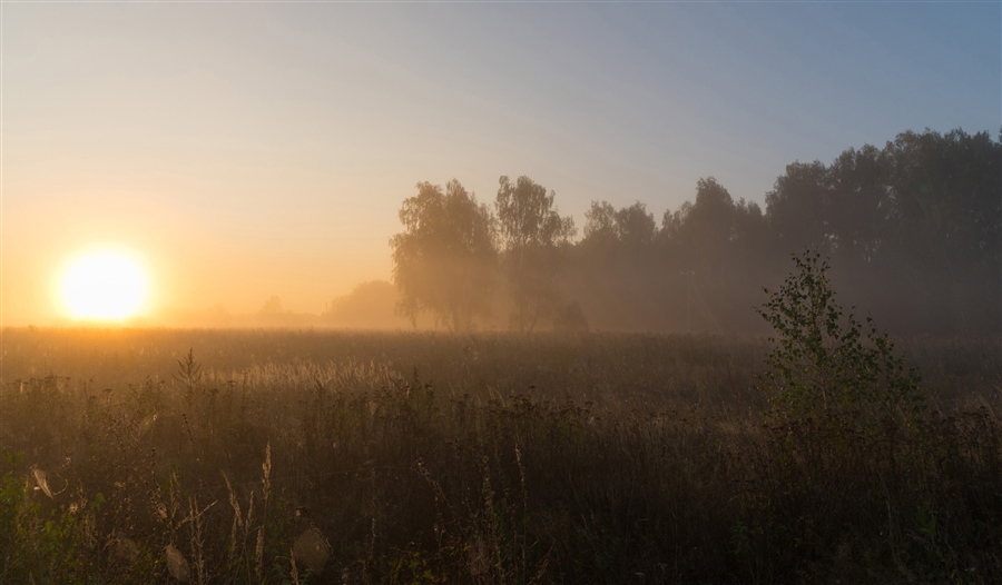 Фото жизнь