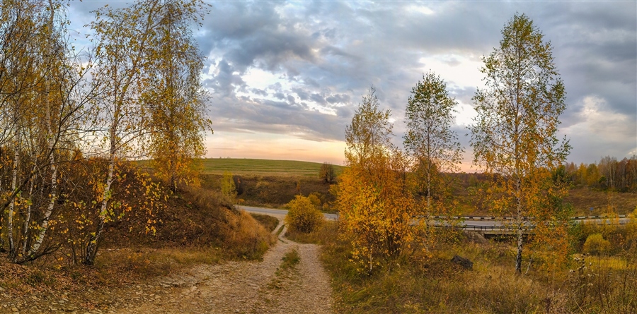 Фото жизнь
