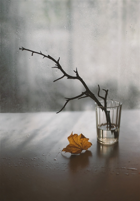 Фото жизнь (light) - Lilliya - корневой каталог - Листья падают, падают листья...