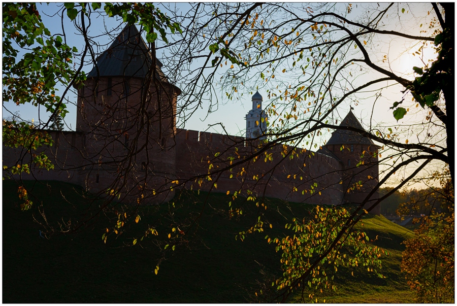 Фото жизнь