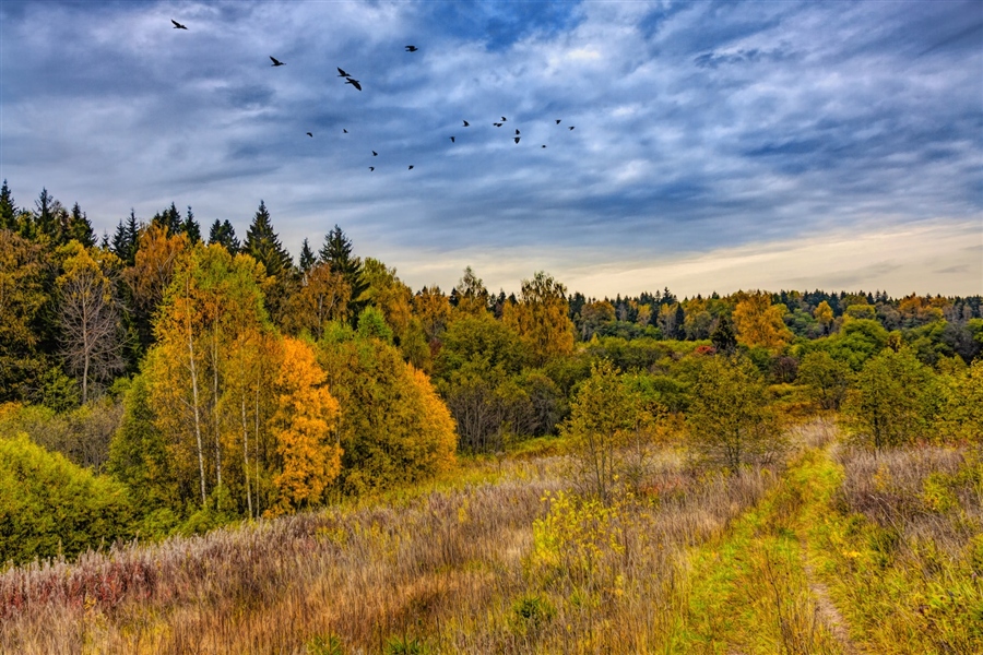 Фото жизнь