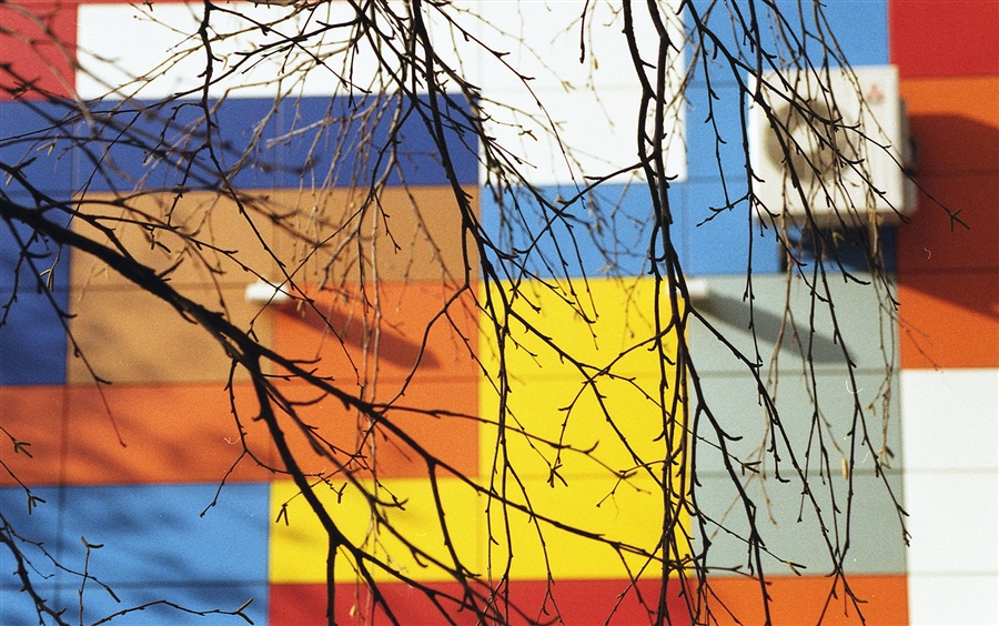 Фото жизнь