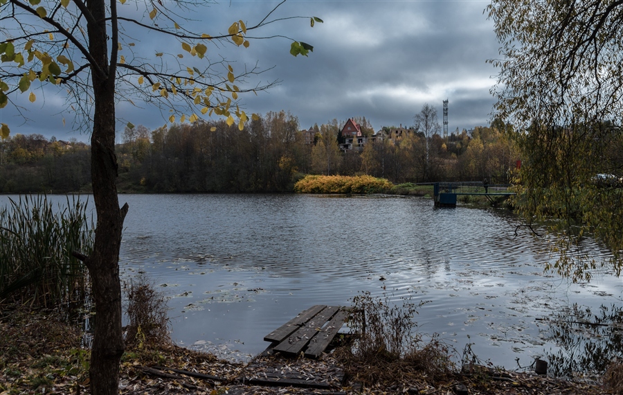 Фото жизнь