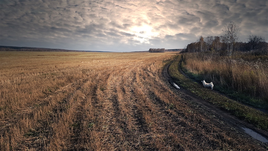 Фото жизнь