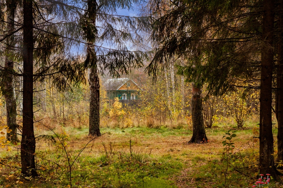 Фото жизнь