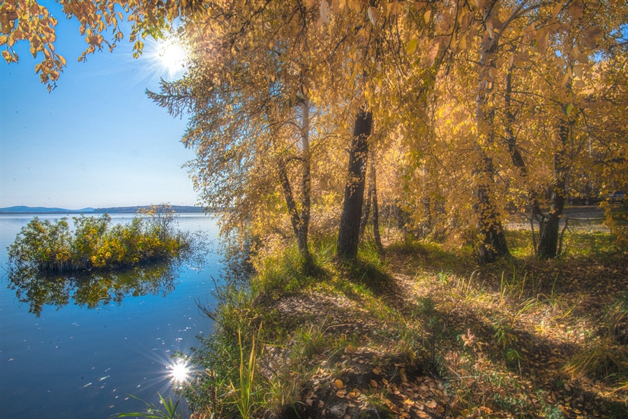 Фото жизнь