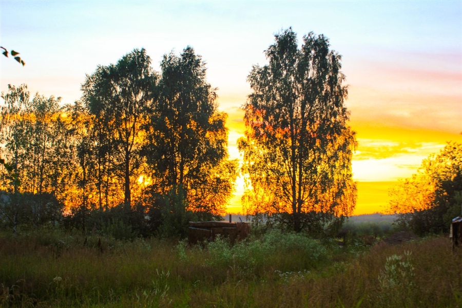 Фото жизнь