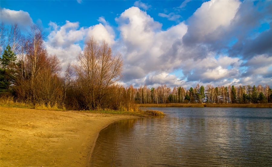Фото жизнь