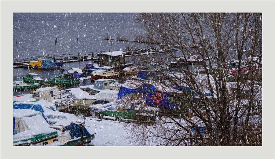 Фото жизнь