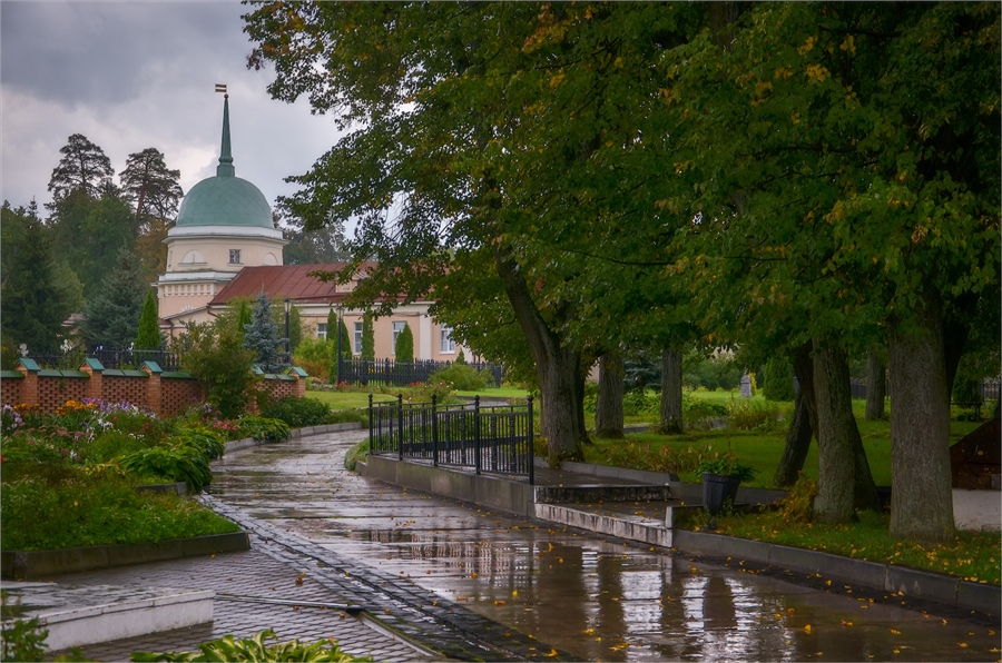 Фото жизнь