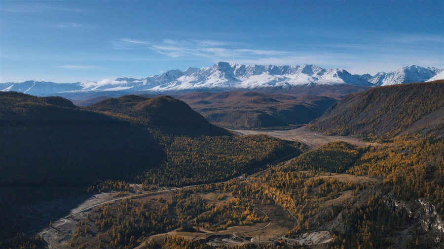 Фото жизнь