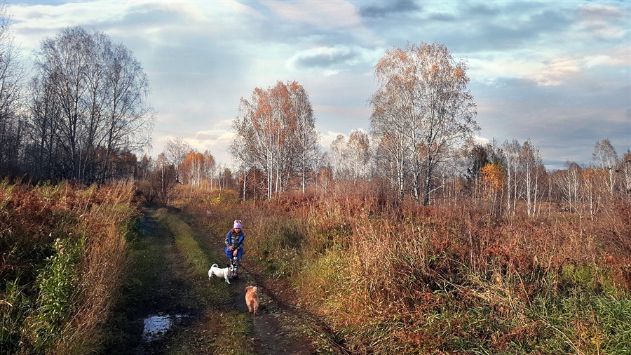 Фото жизнь