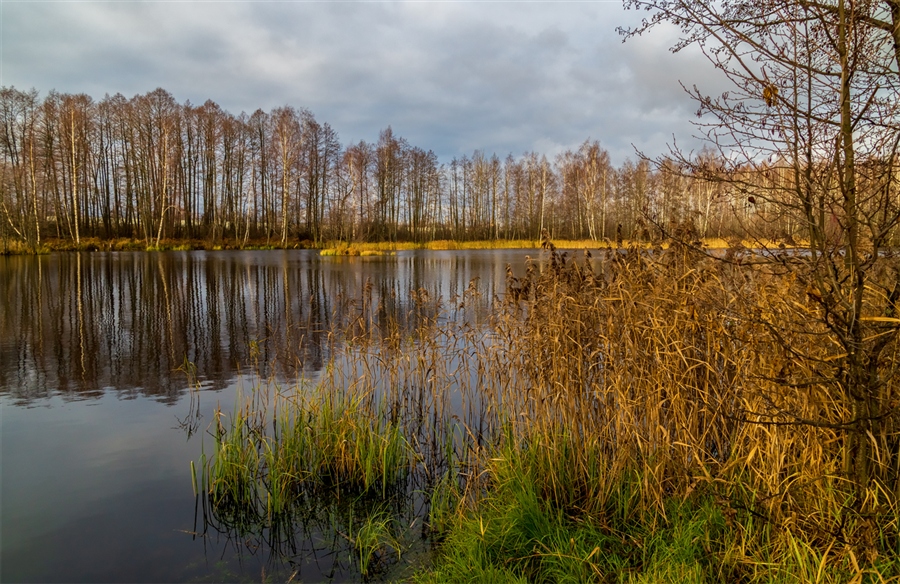 Фото жизнь