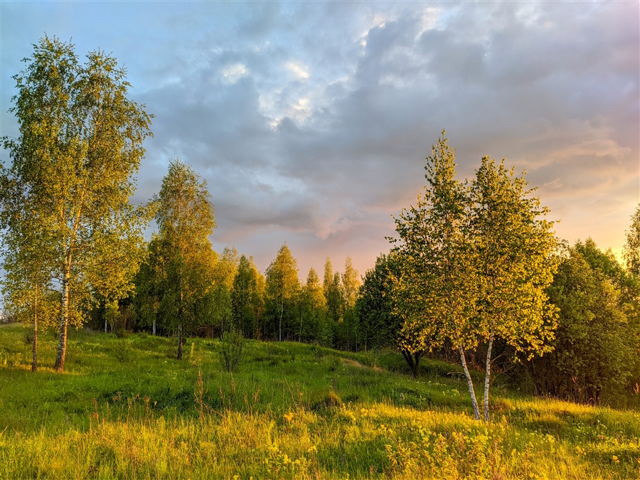 Фото жизнь