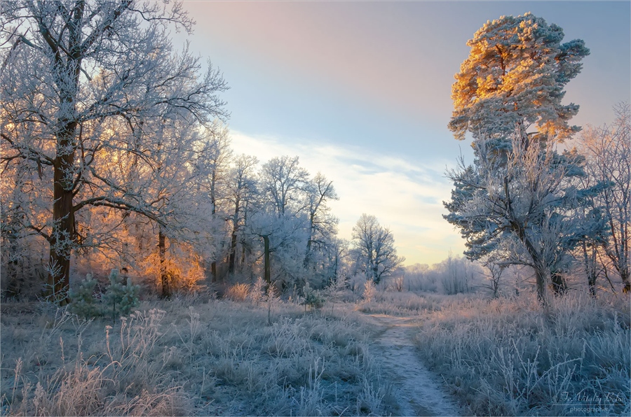 Фото жизнь