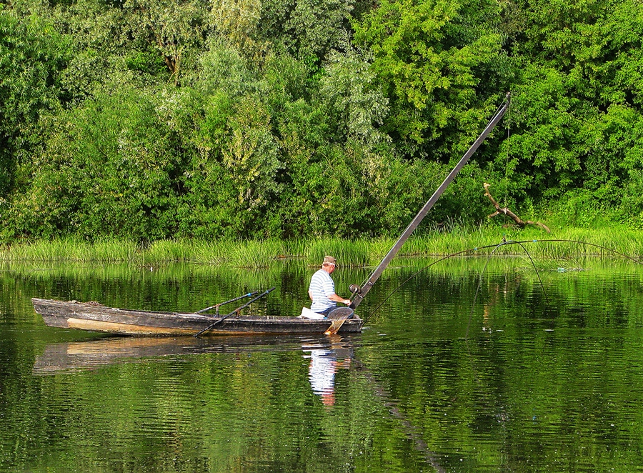 Фото жизнь