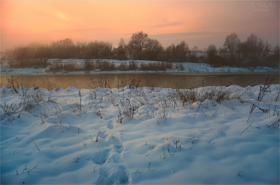 Фото жизнь