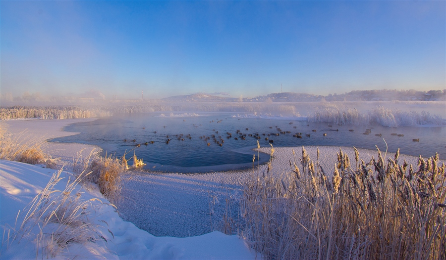 Фото жизнь