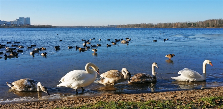 Фото жизнь