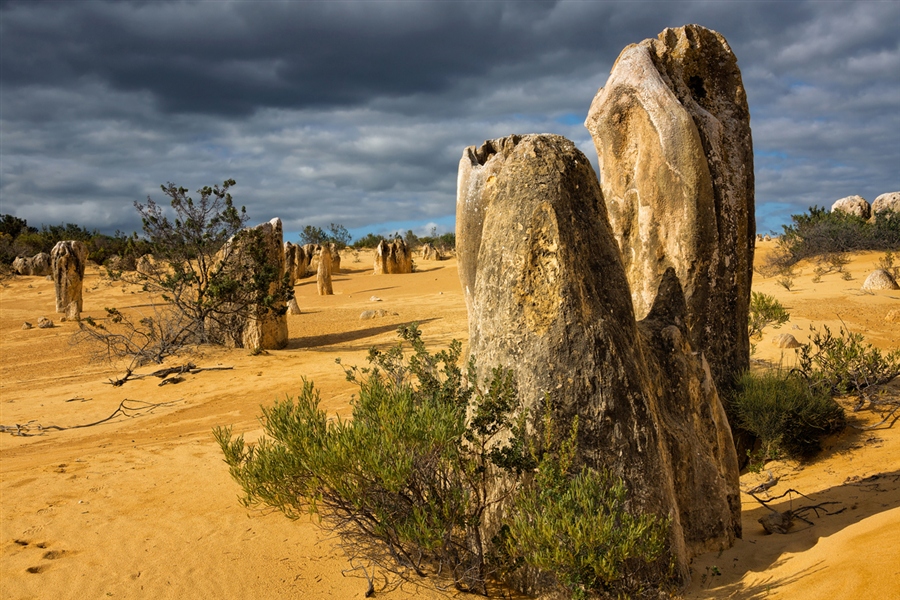 Древние "скульптуры" пустыни Pinnacles