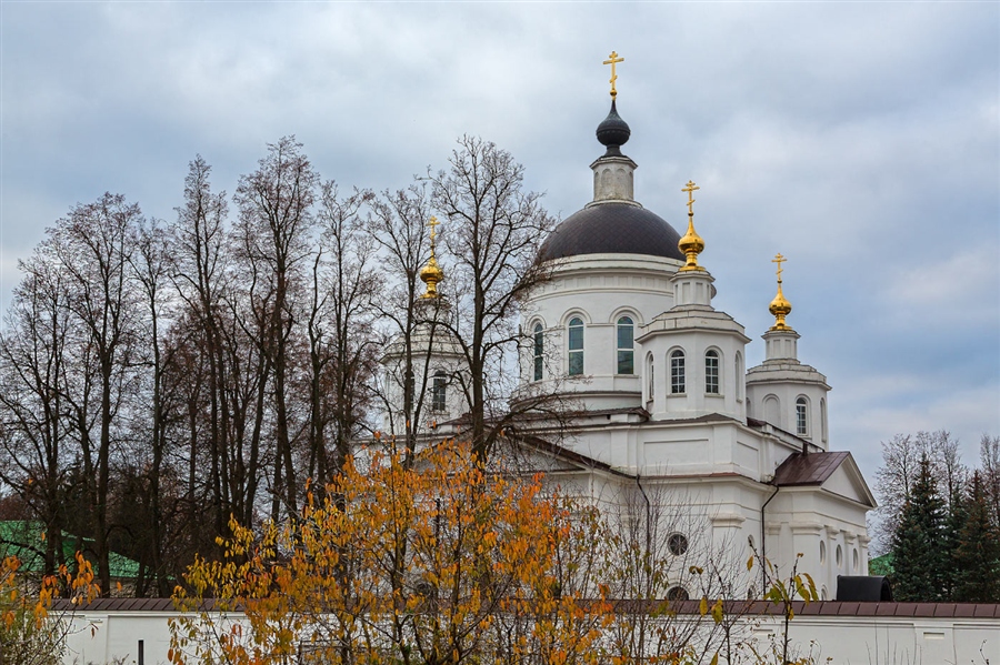 Фото жизнь