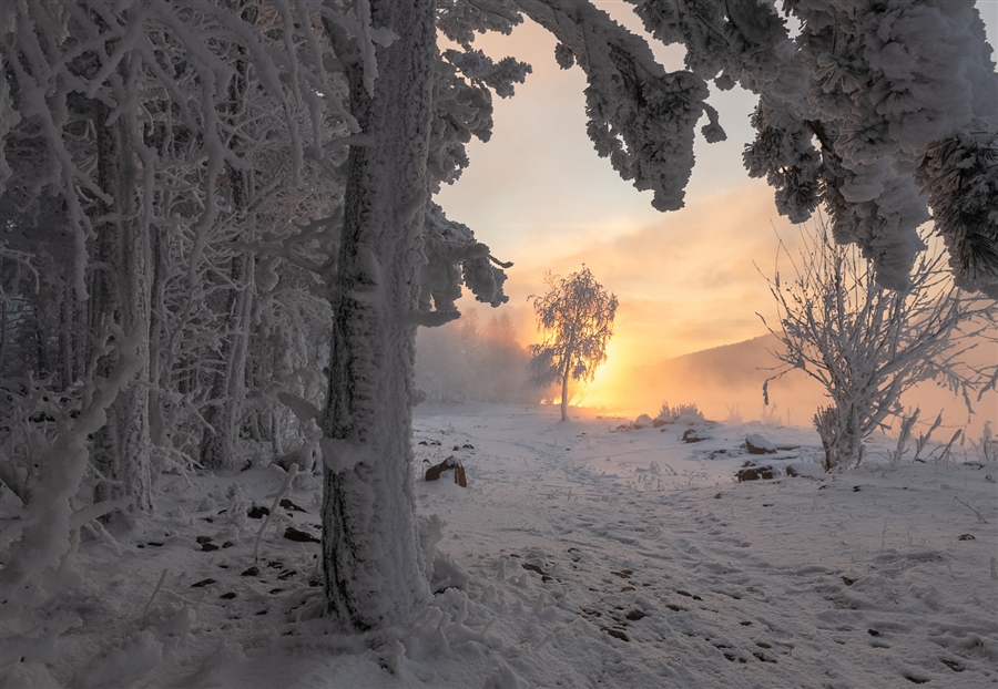 Фото жизнь