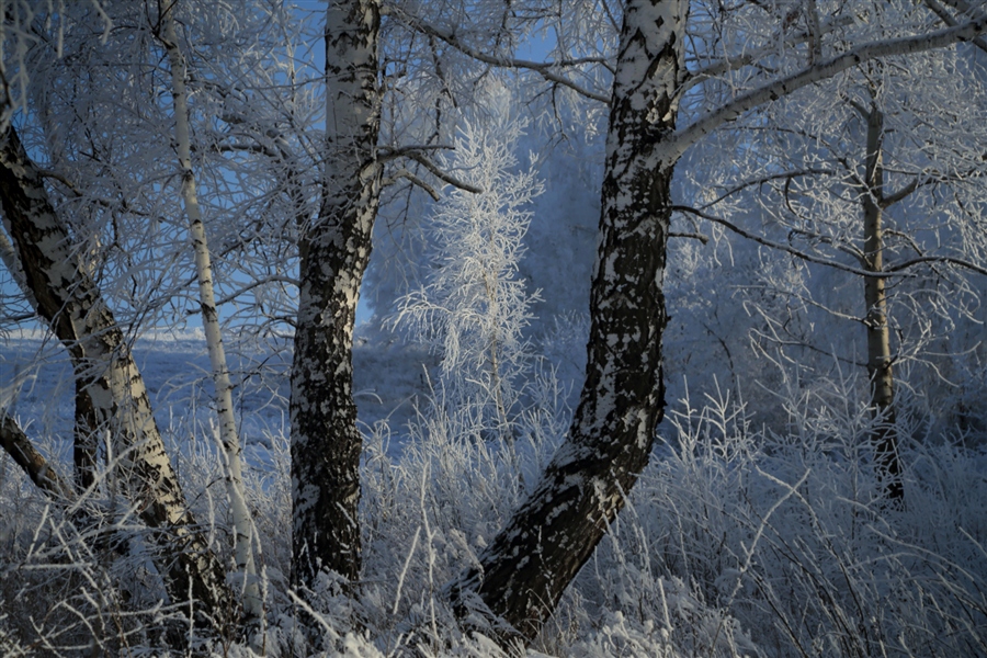 Фото жизнь