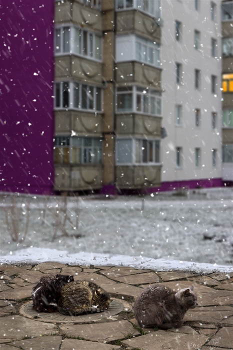 Фото жизнь