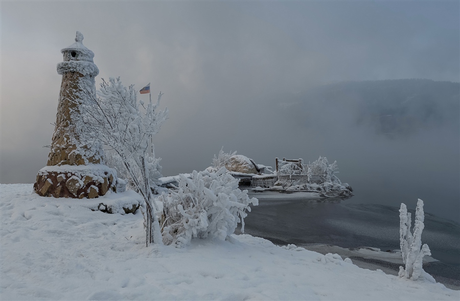 Фото жизнь