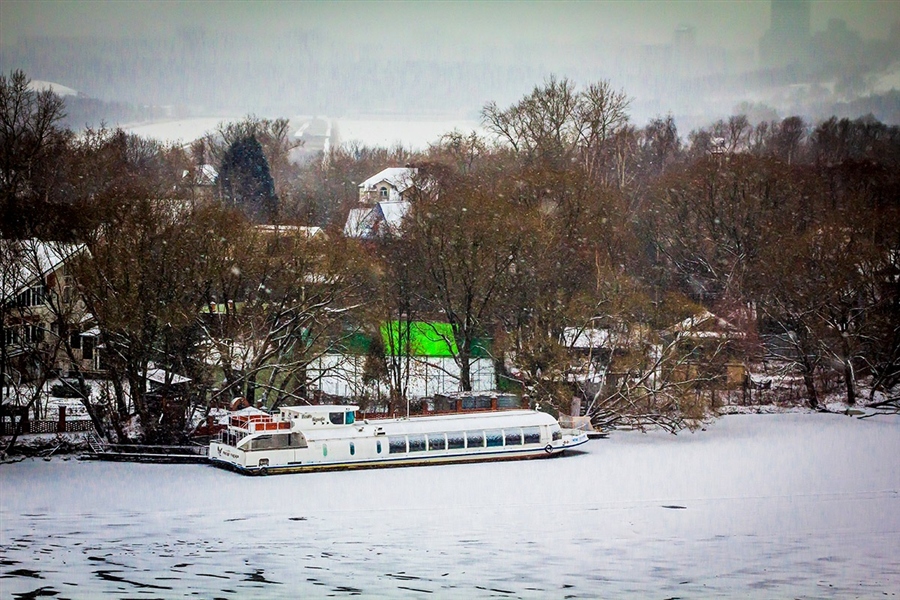 Фото жизнь