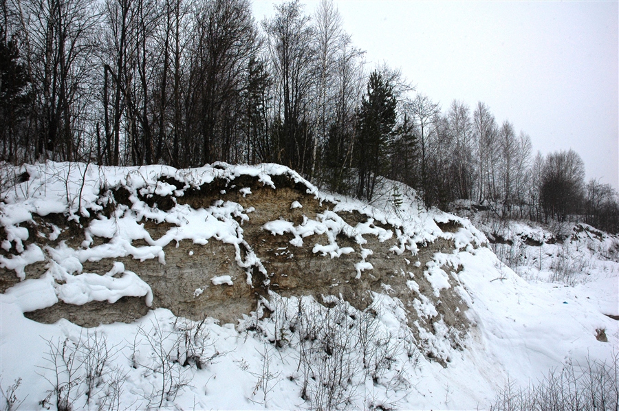 Фото жизнь
