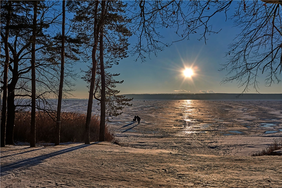 Фото жизнь