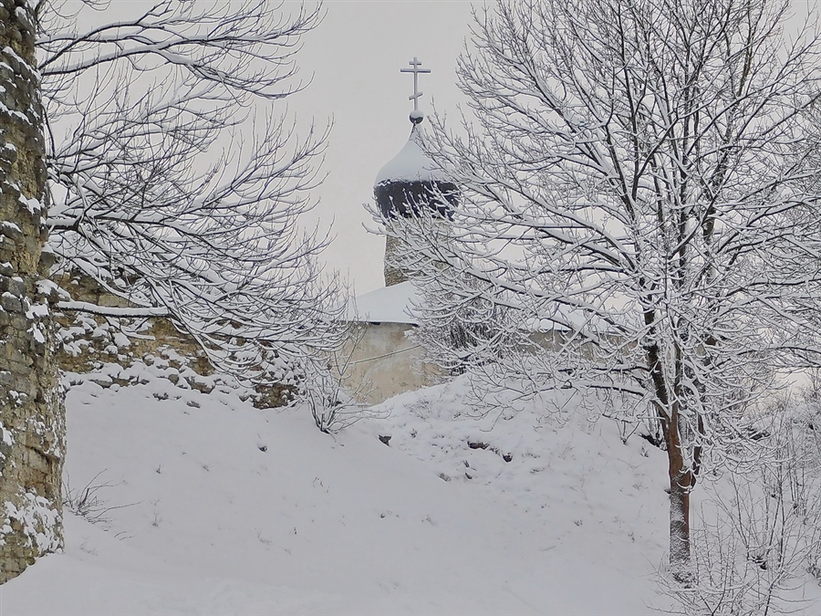 Фото жизнь