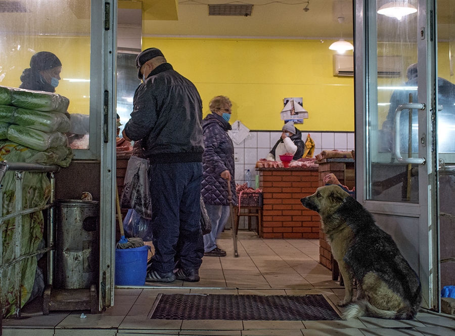 Фото жизнь