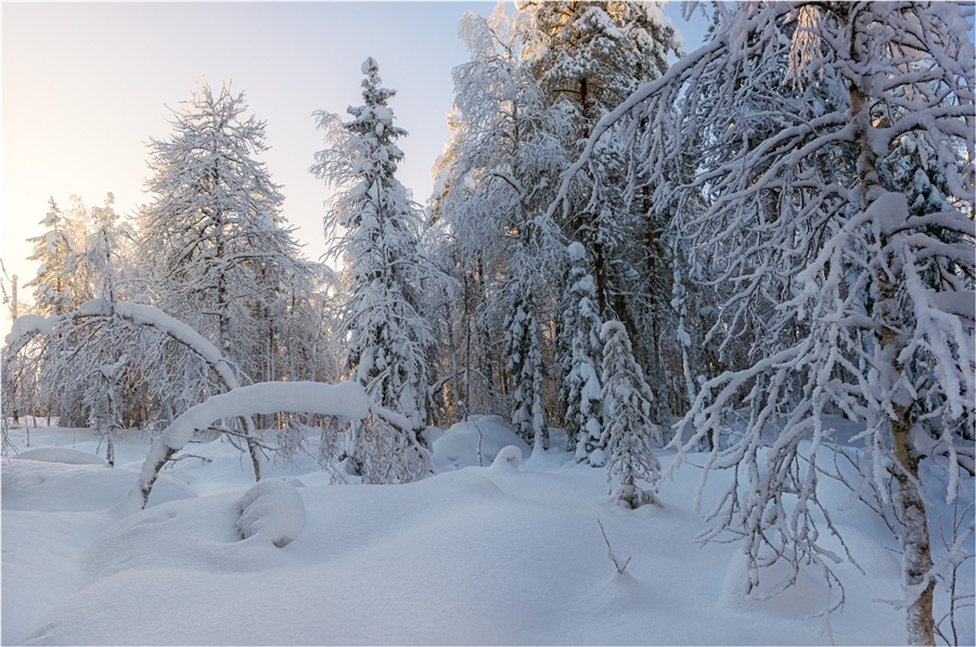 Фото жизнь