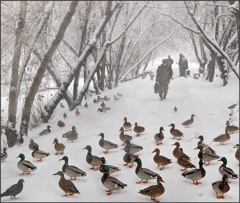 Фото жизнь