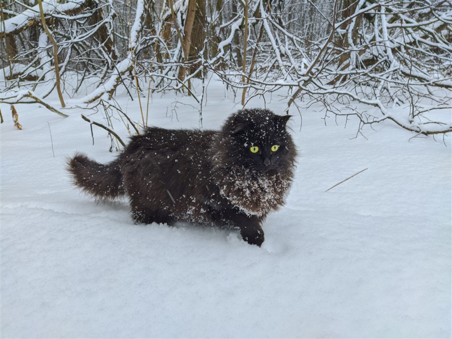 Фото жизнь