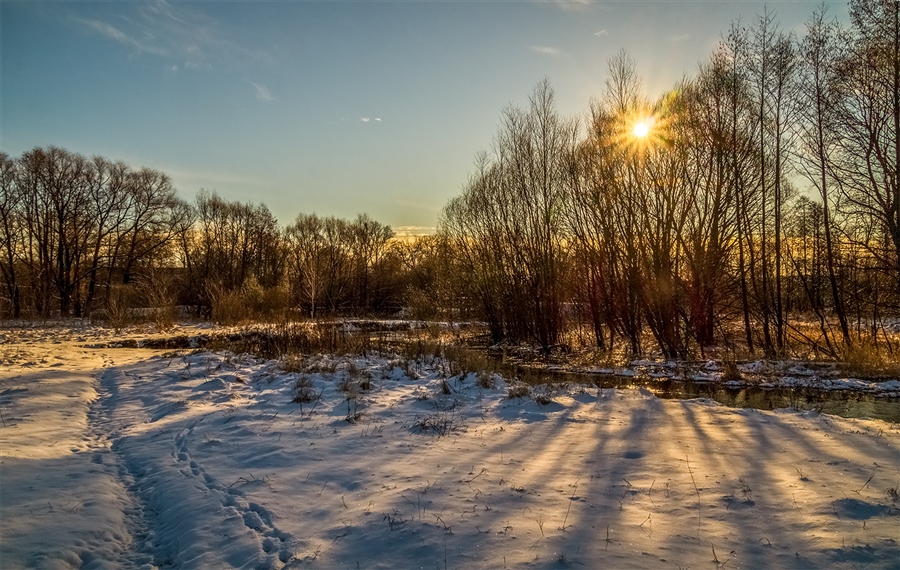 Фото жизнь