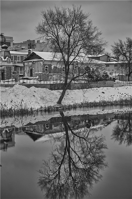 Фото жизнь