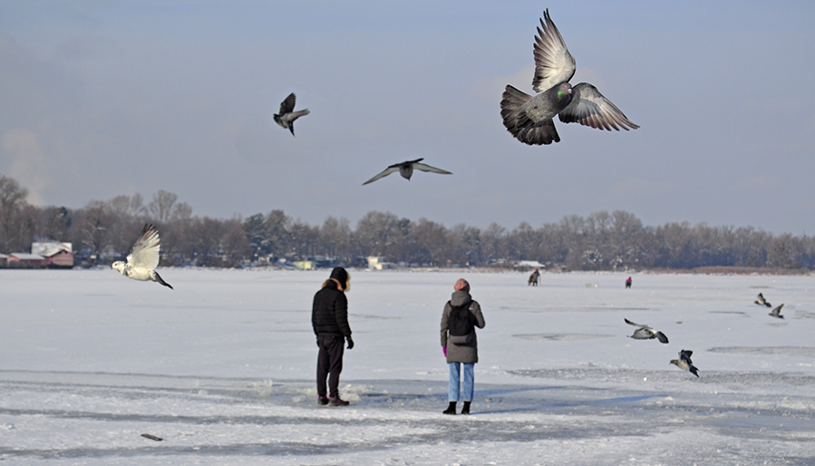 Фото жизнь (light) - Pollianna - Люди и птицы - Зимний день, наконец-то! 