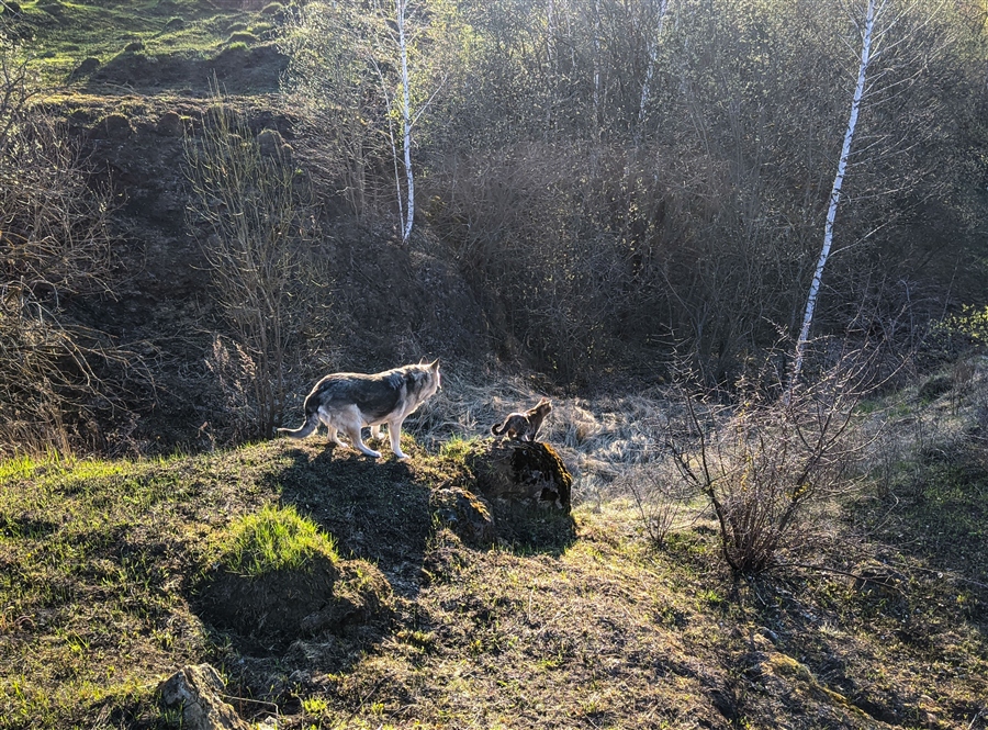 Фото жизнь