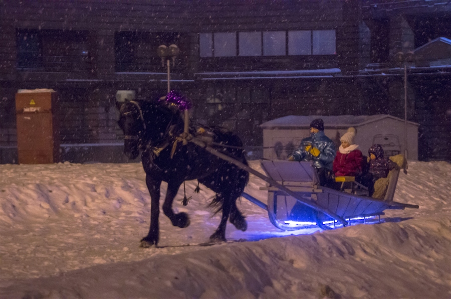 Фото жизнь