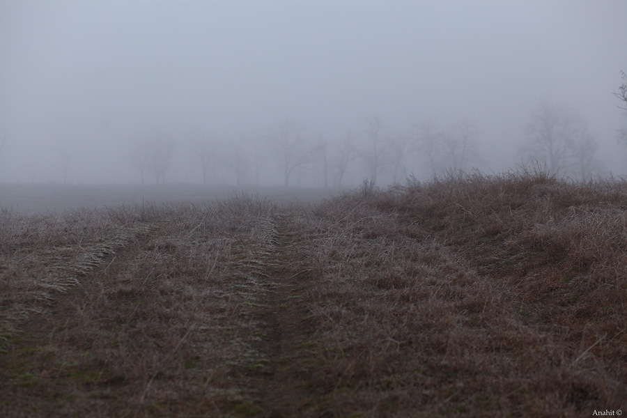 Фото жизнь (light) - Anahit - Зеленокумск - туманный февраль