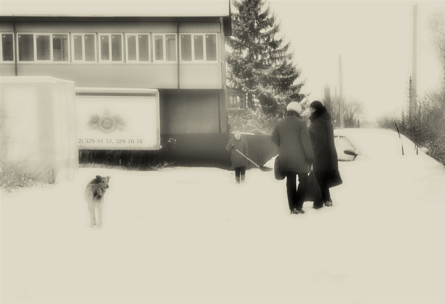 Фото жизнь