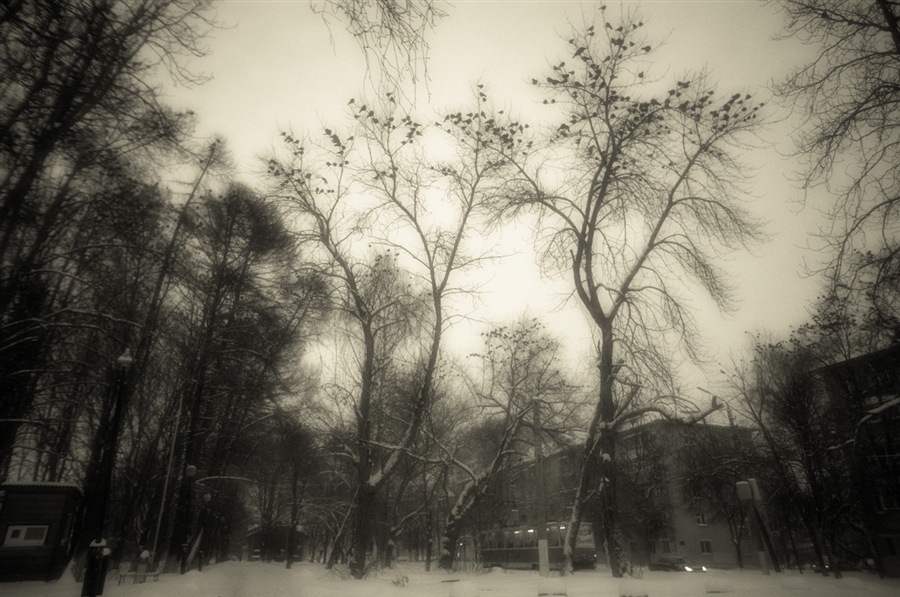 Фото жизнь