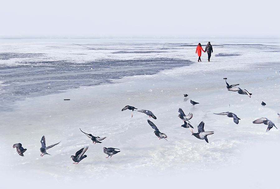 Фото жизнь - Pollianna - Люди и птицы - Зимняя радость