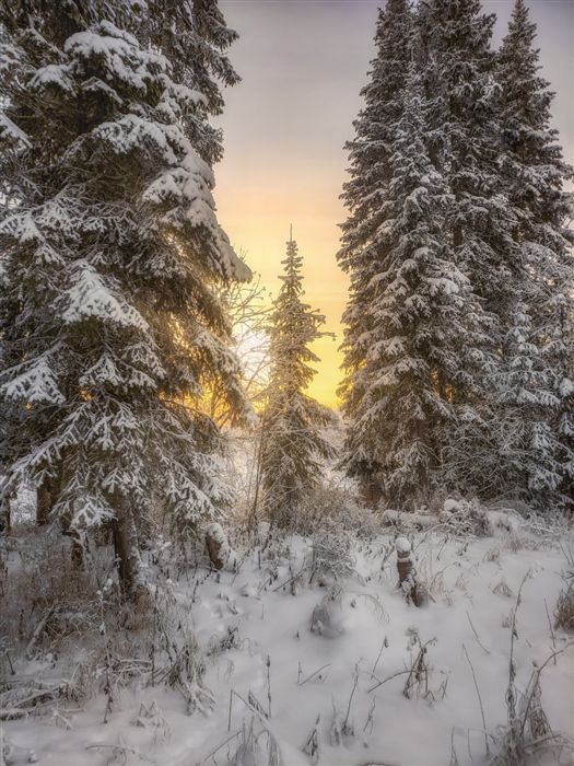 Фото жизнь